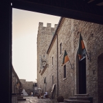 Terra vecchia